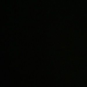 Meet your Posher, Ebony